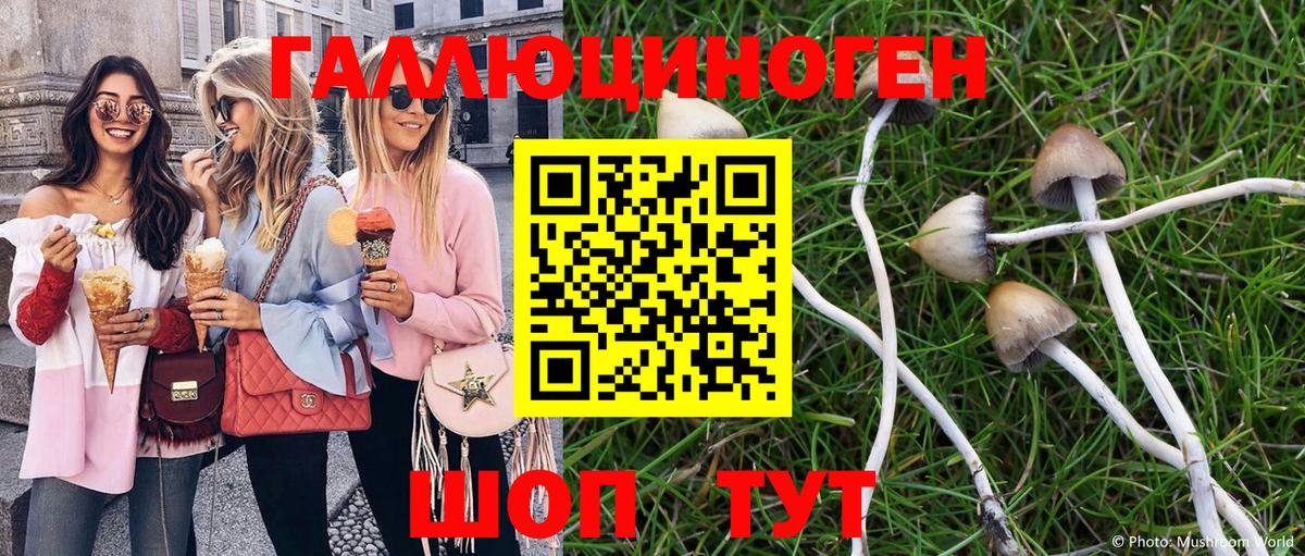 где продают наркотики  Псилоцибиновые грибы мухоморы  Абинск  Вход с VPN  Галлюциногенные грибы Cubensis 